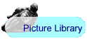 Picture Library